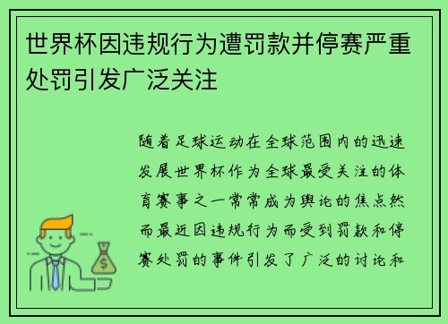 世界杯因违规行为遭罚款并停赛严重处罚引发广泛关注 世界杯因违规行为遭罚款并停赛严重处罚引发广泛关注