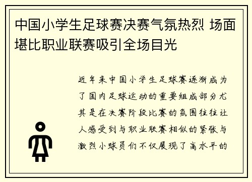中国小学生足球赛决赛气氛热烈 场面堪比职业联赛吸引全场目光